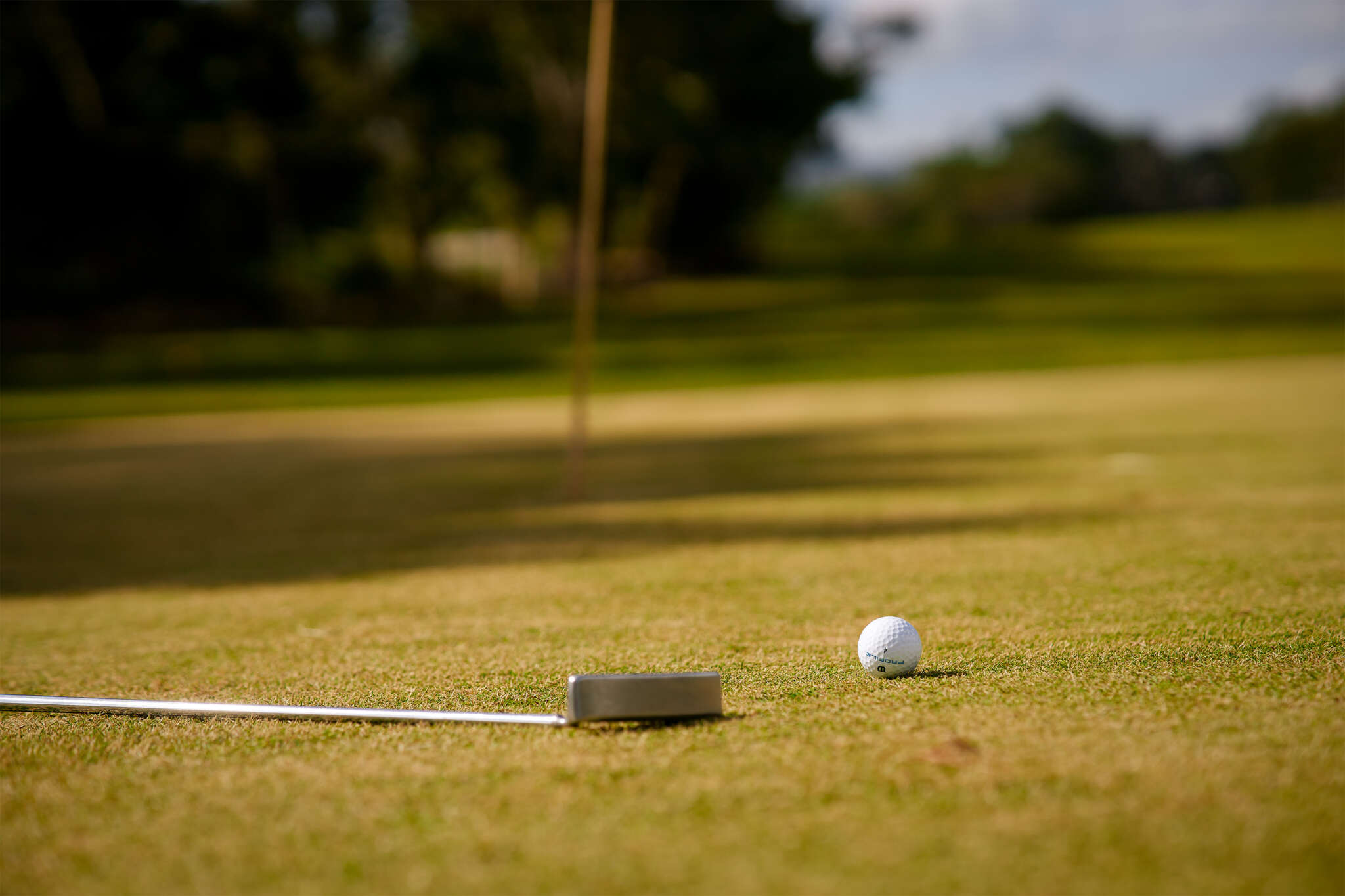 The Manchester Club the-manchester-club